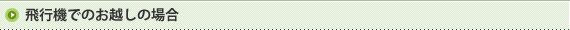 飛行機でのお越しの場合
